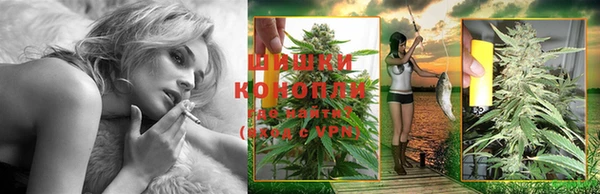 мдпв Волоколамск