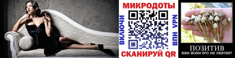 Купить  Островной  Галлюциногенные грибы Psilocybine cubensis 